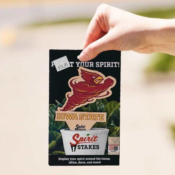 Punching Cy Cardinal and Gold Spirit Stakes Small 4.9-inch x 3.5-inch